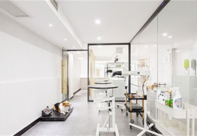 合肥寵物店設(shè)計(jì)裝修考慮什么？裝修公司重點(diǎn)總結(jié)